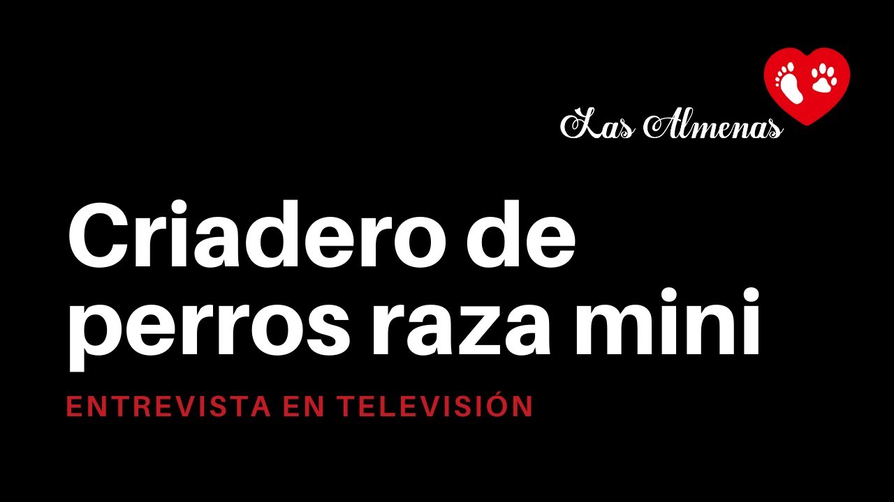 Criadero de perros de raza pequeños en España | Centro Canino Las Almenas