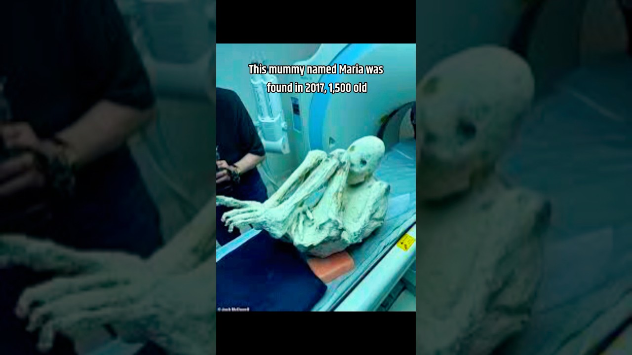 Mummy of an Alien..? #archeology #history
