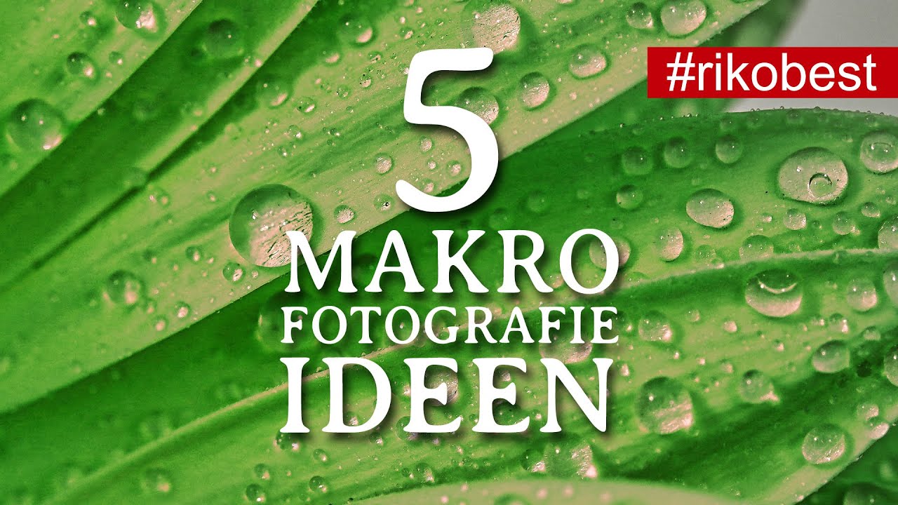Makrofotografie - 5 Makrofotografie Ideen zum Ausprobieren zu Hause - fotografieren lernen