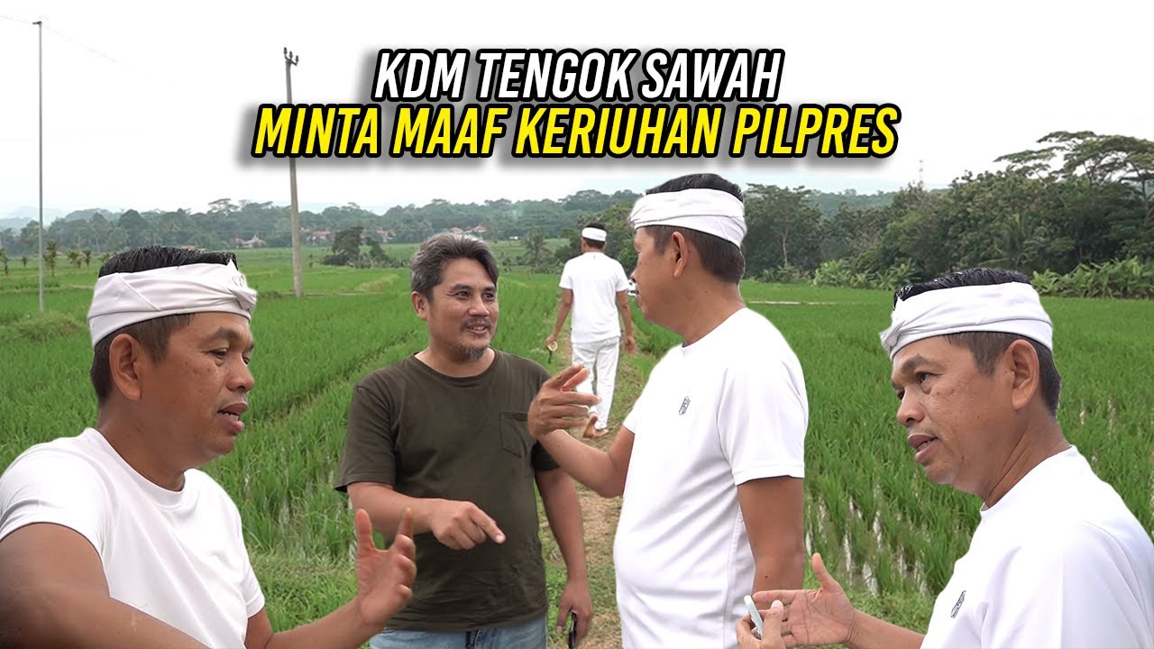 TENGOK SAWAH | KDM MINTA MAAF KERIUHAN PILPRES SAAT INI
