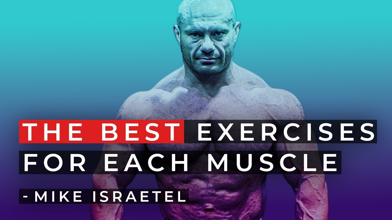 The BEST Exercises for Each Muscle – Mike Israetel