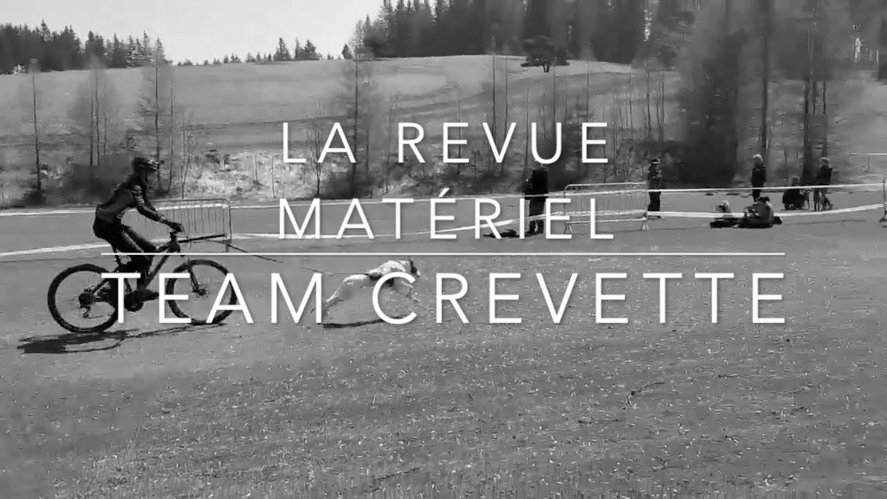 [TEAM CREVETTE] - Revue matériel canicross