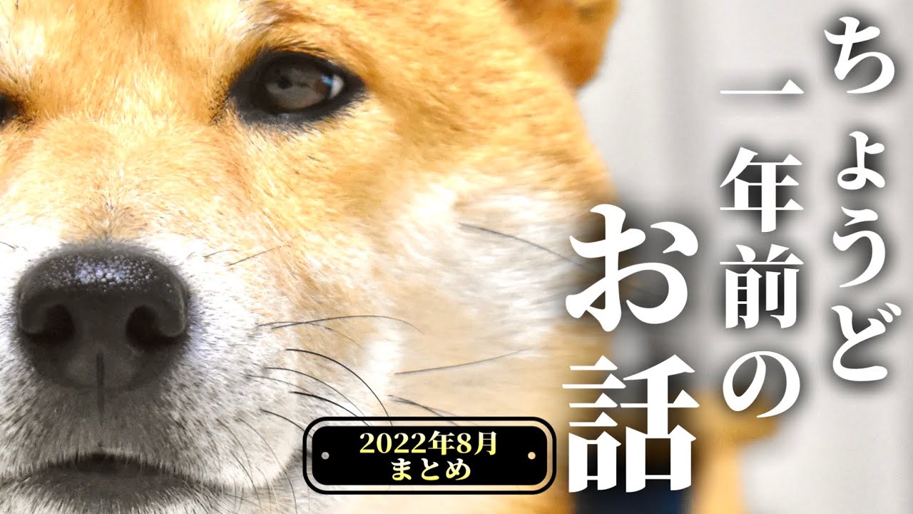 【一気見】神田さんに捧げたい２０２２年の８月【あるじのステップ】まとめ