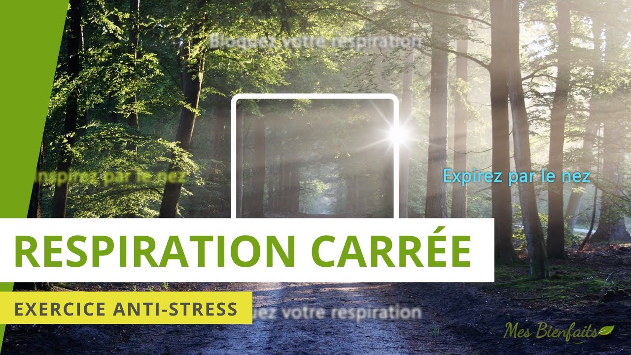 Respiration carrée : exercice de respiration en carré (5 min) | Sama Vritti (Pranayama)