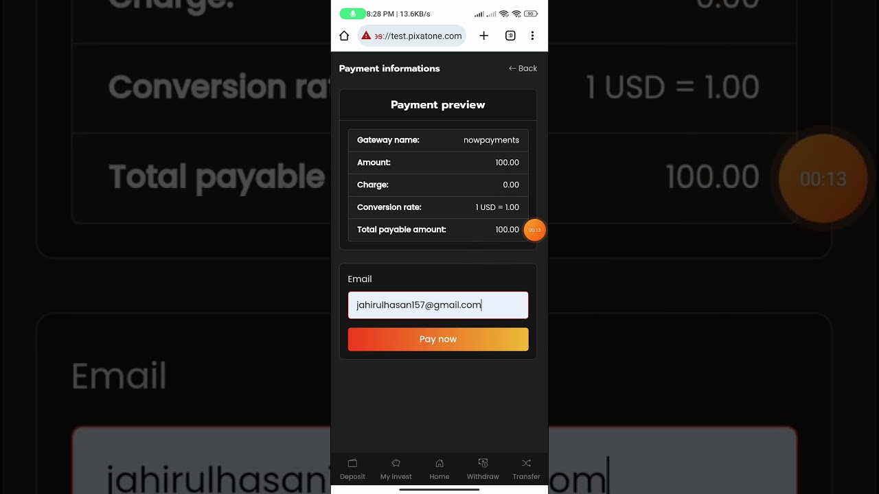 nowpayments payment check