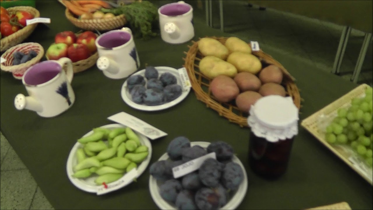 Agrokomplex 2017 očami návštevníka