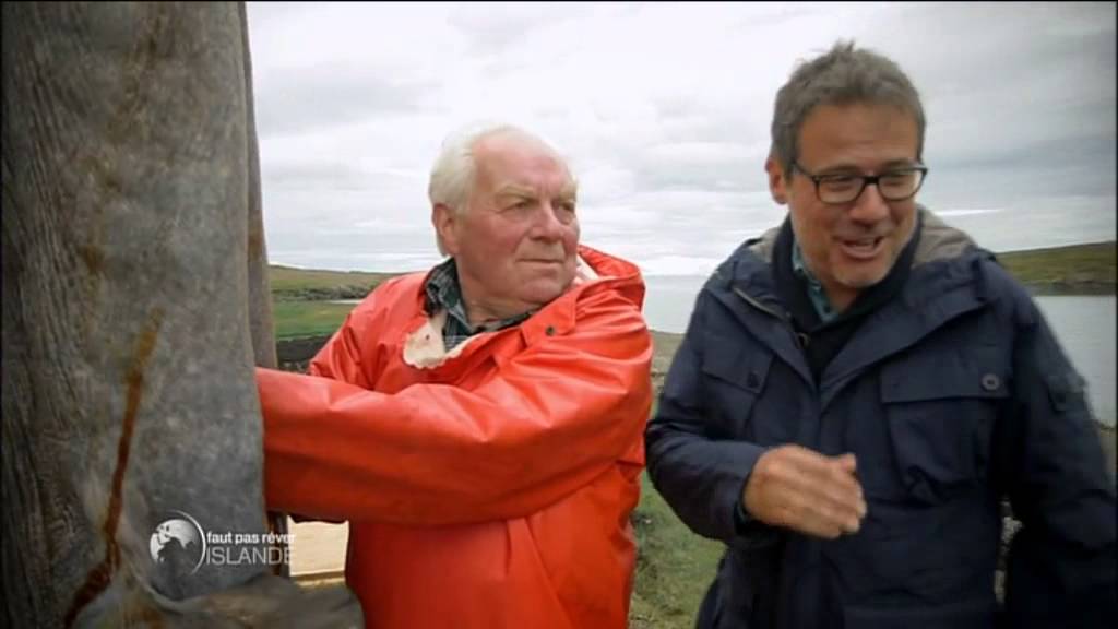 Faut pas r&ecirc;ver -Islande - Philippe Gougler et le requin  - 30/10/15