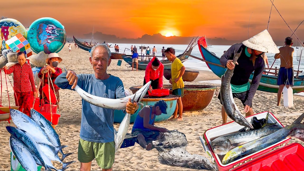 Biển Tam Thanh Tam Kỳ Đẹp Như Tranh.Ngư Dân Vui Mừng Câu Gặp Cá Nhồng 10kg