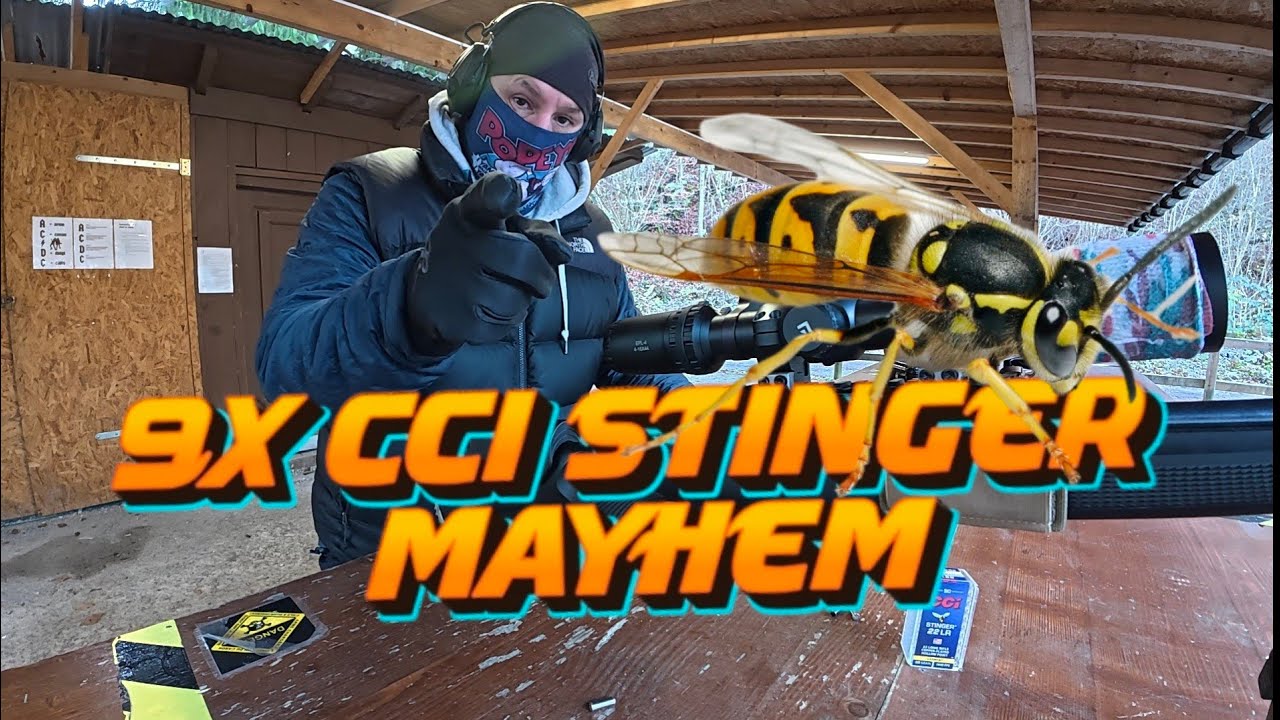 CCI Stinger 22lr review — Final Shoot 2025 | Verdict: It Delivers