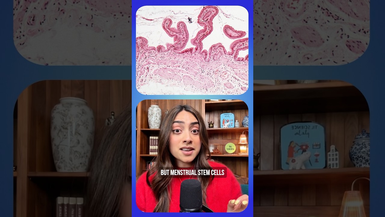 Scientists Discover What is Actually in Menstrual Fluid