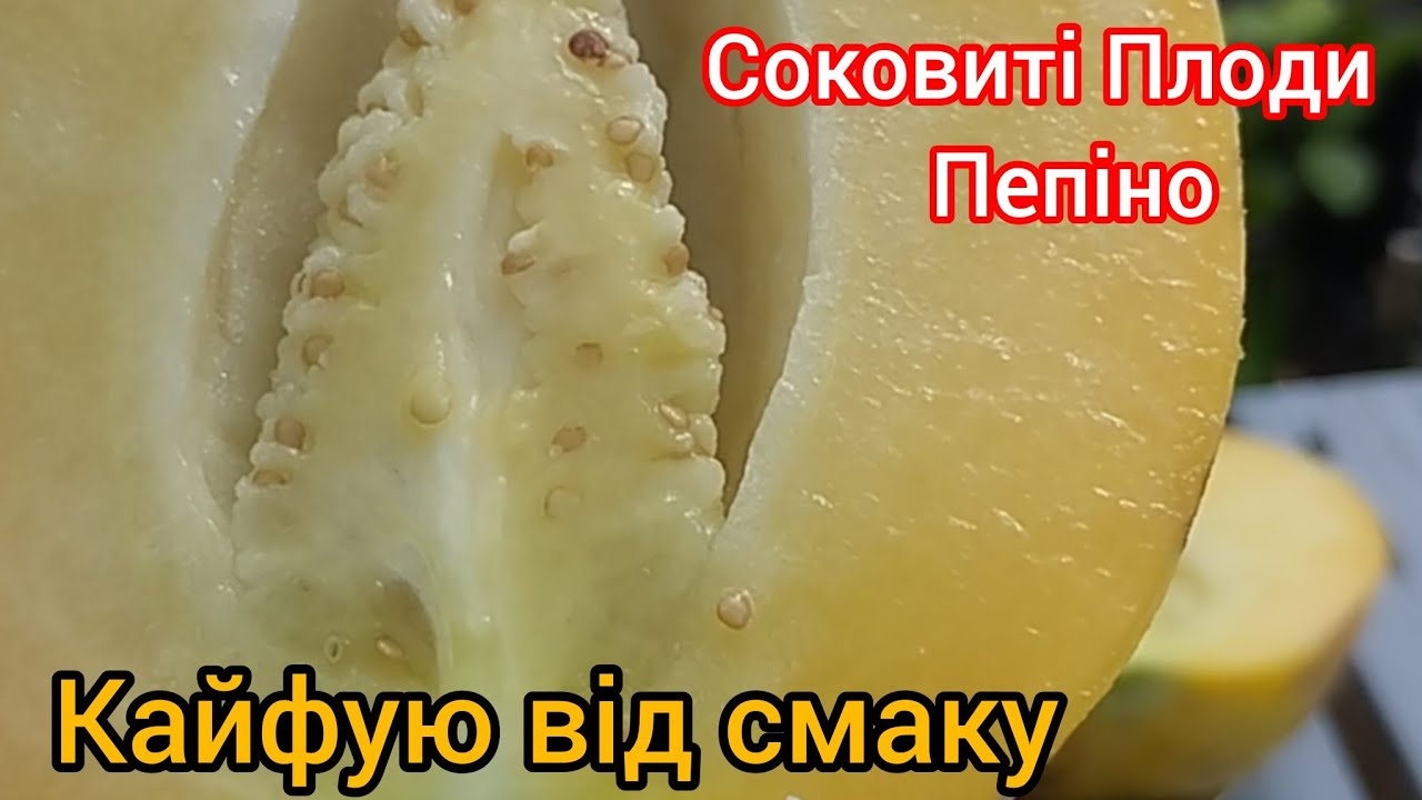 Пепіно Соковиті і Смачні - знову кайфую від плодів)))