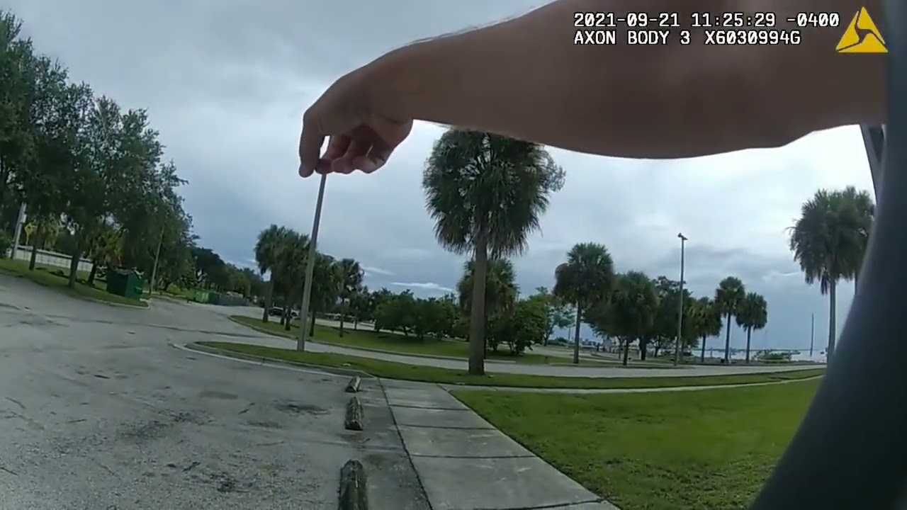 If You Don't Think Cops Lie Watch This.