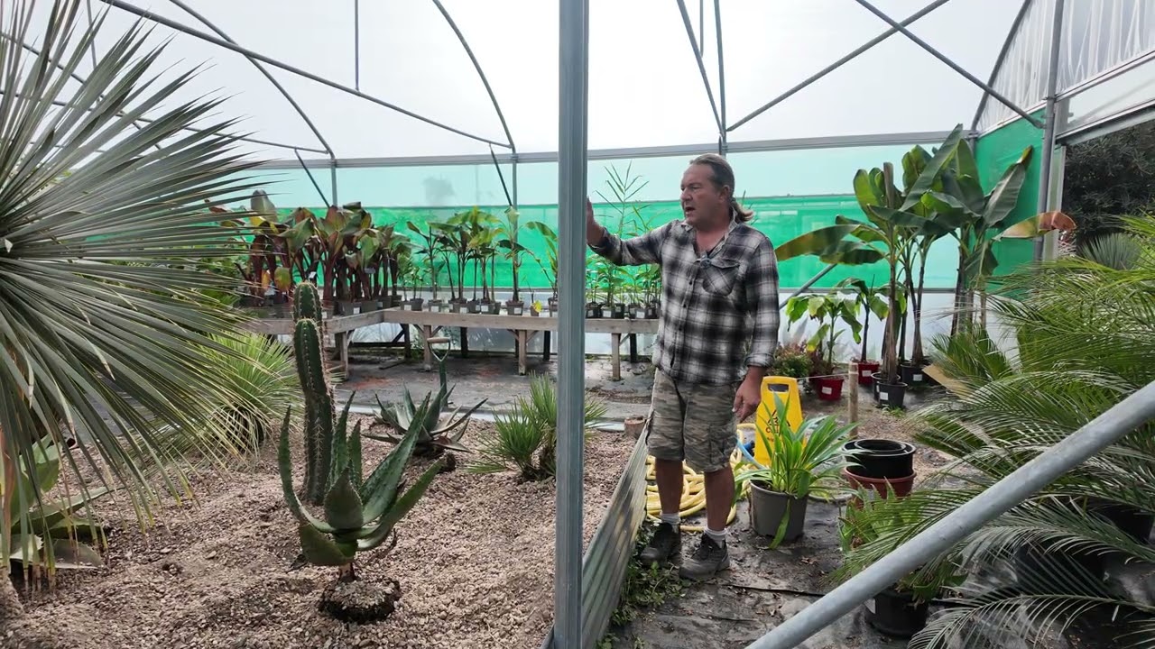 Building an arid plant, drought resistant bed the easy way