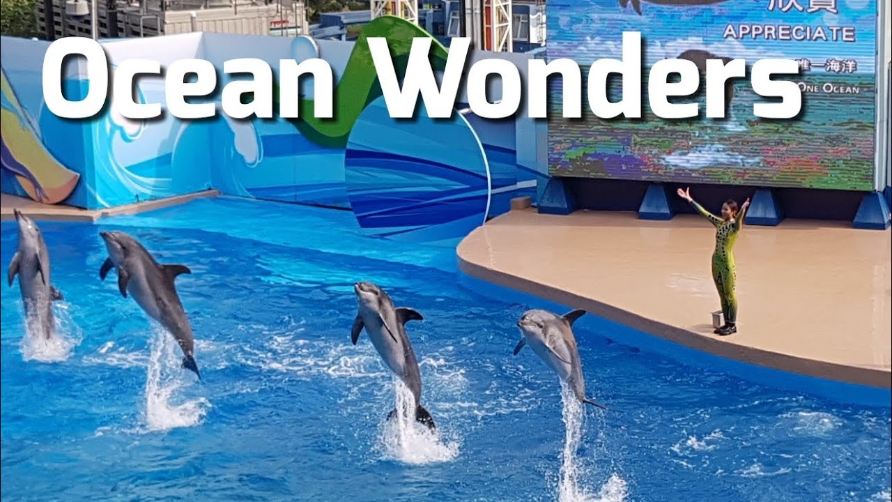 Ocean Park - Ocean Wonders Show with Dolphins and Seals - 2018