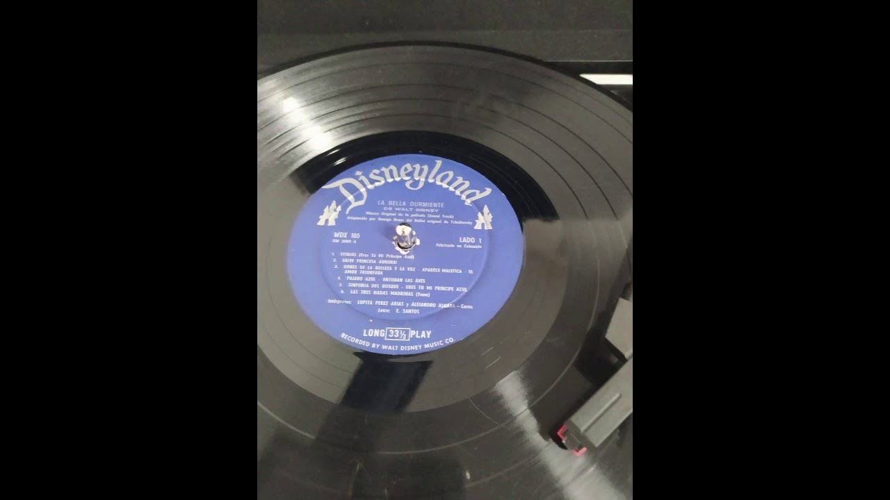 DISNEYLAND LA BELLA DURMIENTE LADO 1