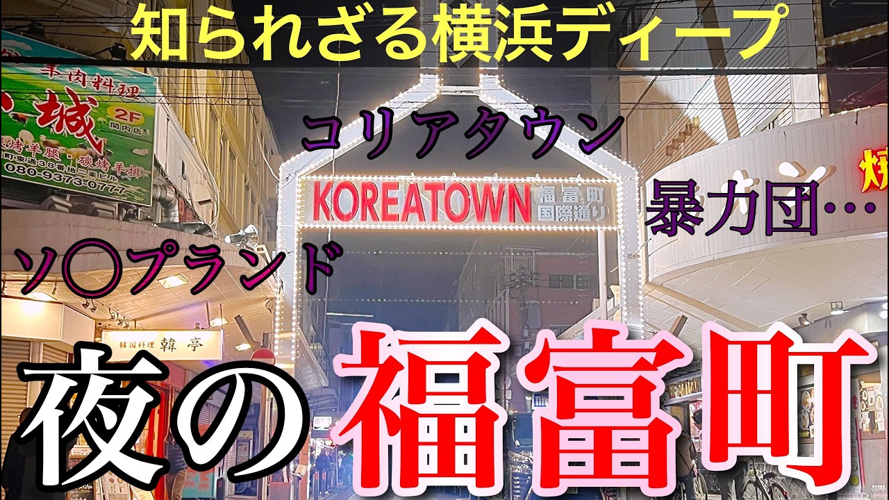 【横浜・福富町】ここは本当に日本なの…？横浜一の歓楽街、夜の福富町コリアンタウンを観察