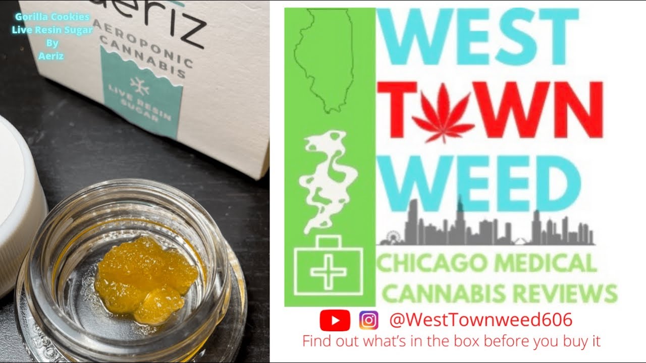 Gorilla Cookies Live Resin Sugar by Aeriz Review