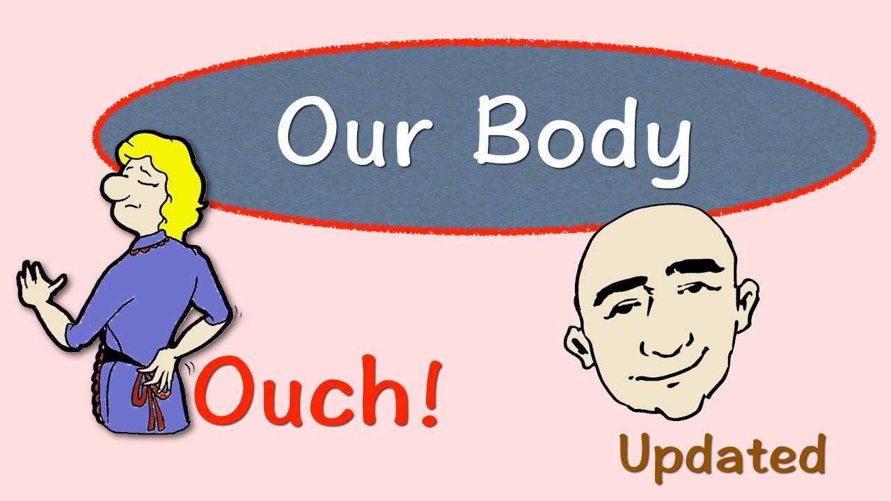 Parts of The Body | Injuries | English Vocabulary Practice | ESL | EFL
