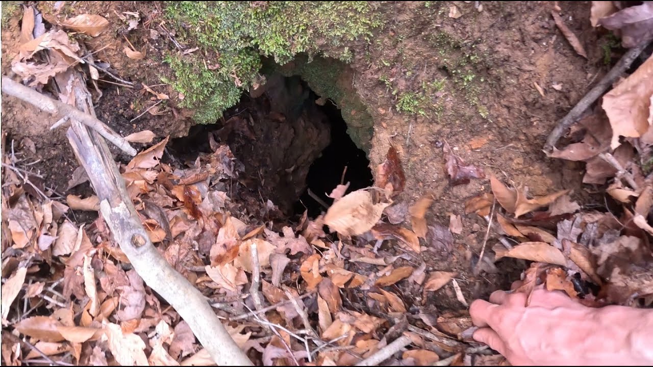 Dropping Go Pro Down This Unexplored Cave Revealed There Was More...