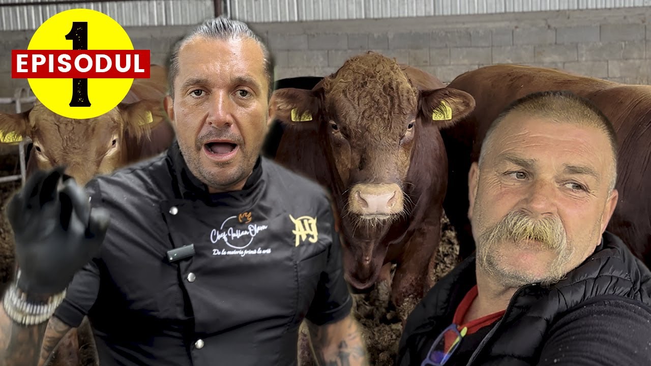 Episode 1: Cum alegem carnea de cea mai bună calitate! Descoperă carnea adevărată cu Iulian Olaru!