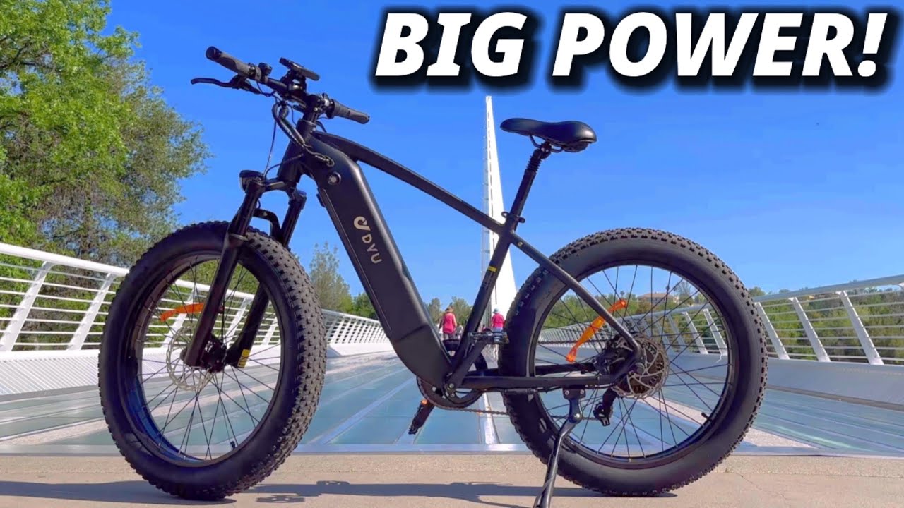 DYU KING 750 E-BIKE Review!