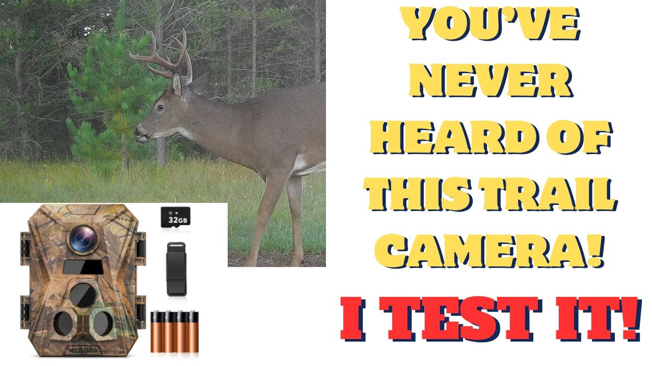 You have never heard of this trail camera! Wosoda