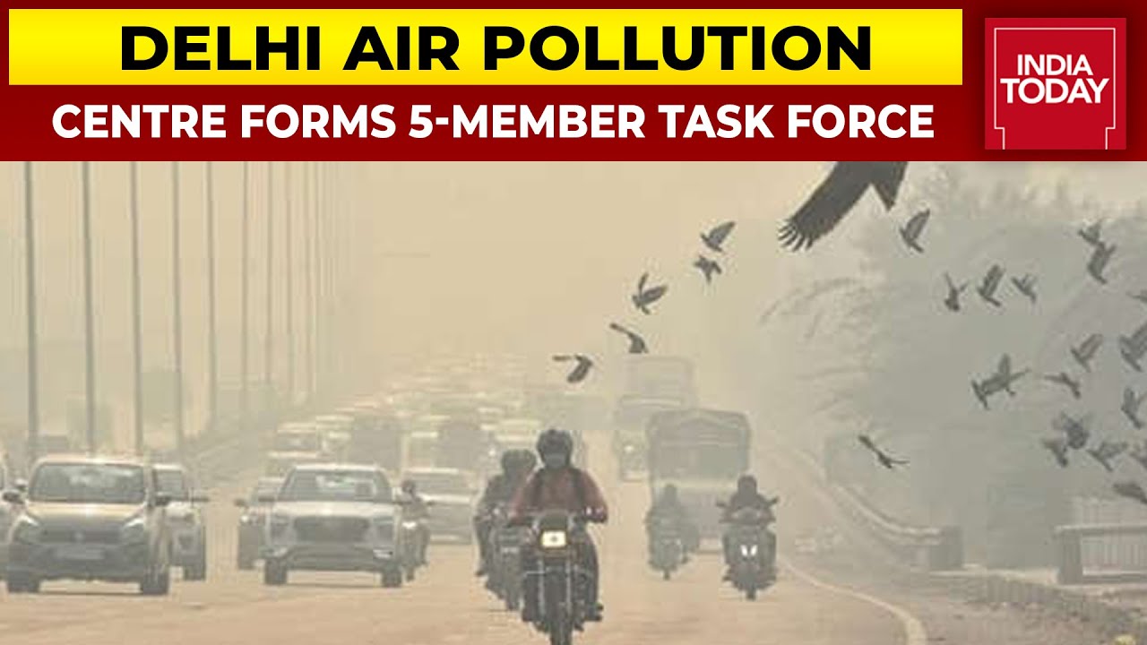 Delhi Pollution: After Supreme Court's Rap, Centre Forms 5-Member Task Force To Monitor Compliance