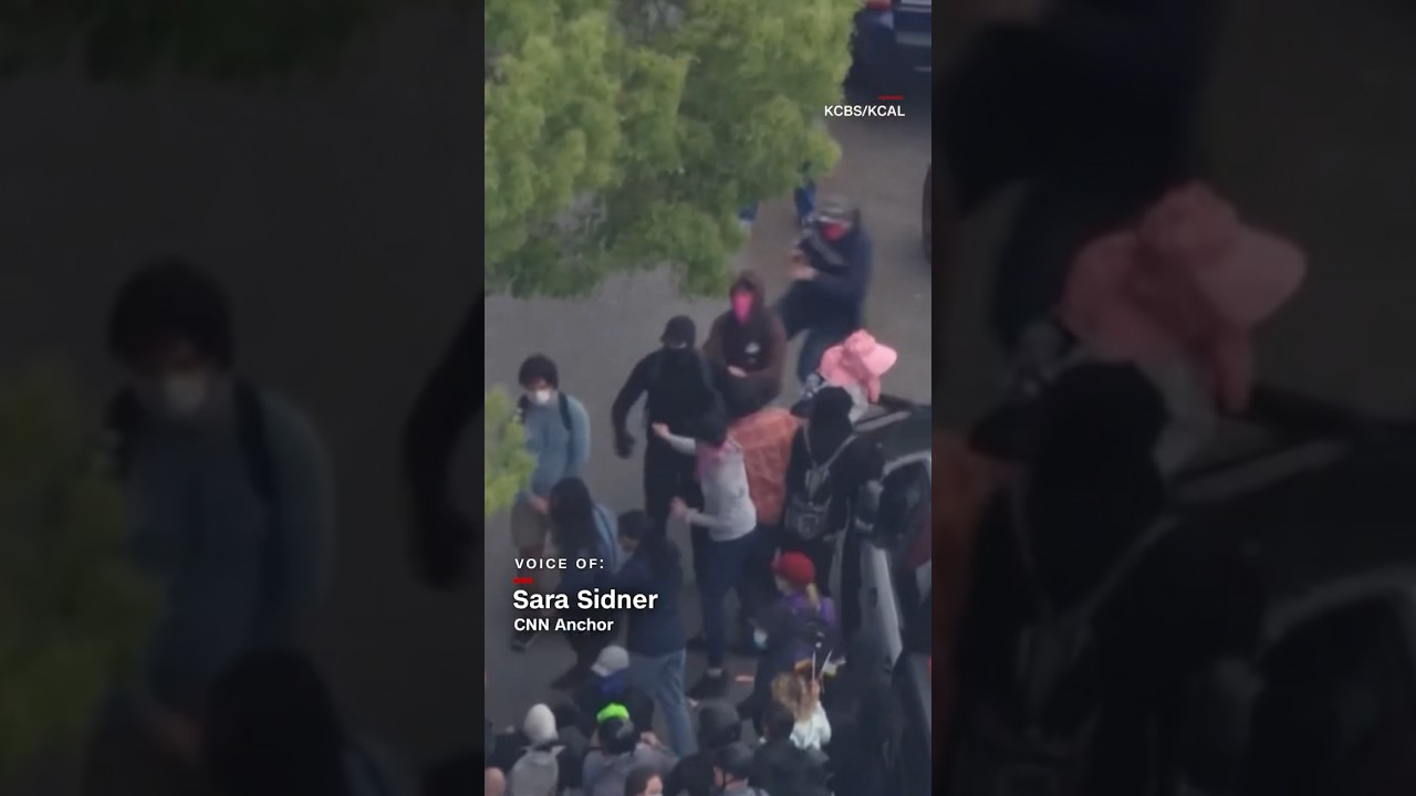 Fight outside of school board meeting over Pride Month