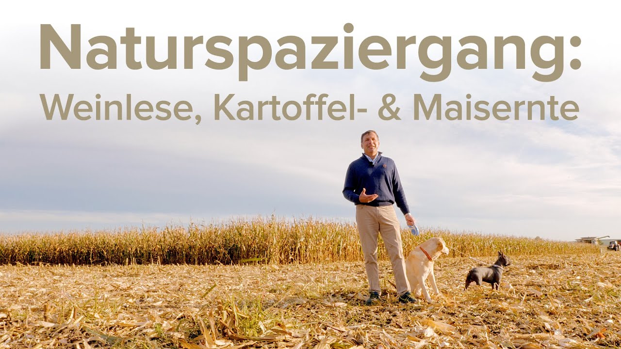 Gut Hardegg | Naturspaziergang:  Weinlese, Kartoffel- und Maisernte [2021]