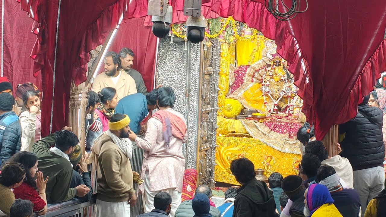 राधावल्लभ लाल के दर्शन #radha #vrindavan #krishma #live