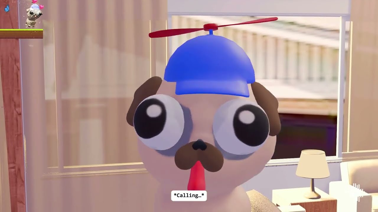 Funny Dog(Pug) Traveling - Final