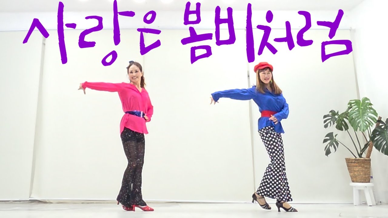 사랑은 봄비처럼 Love Is like Spring Rain