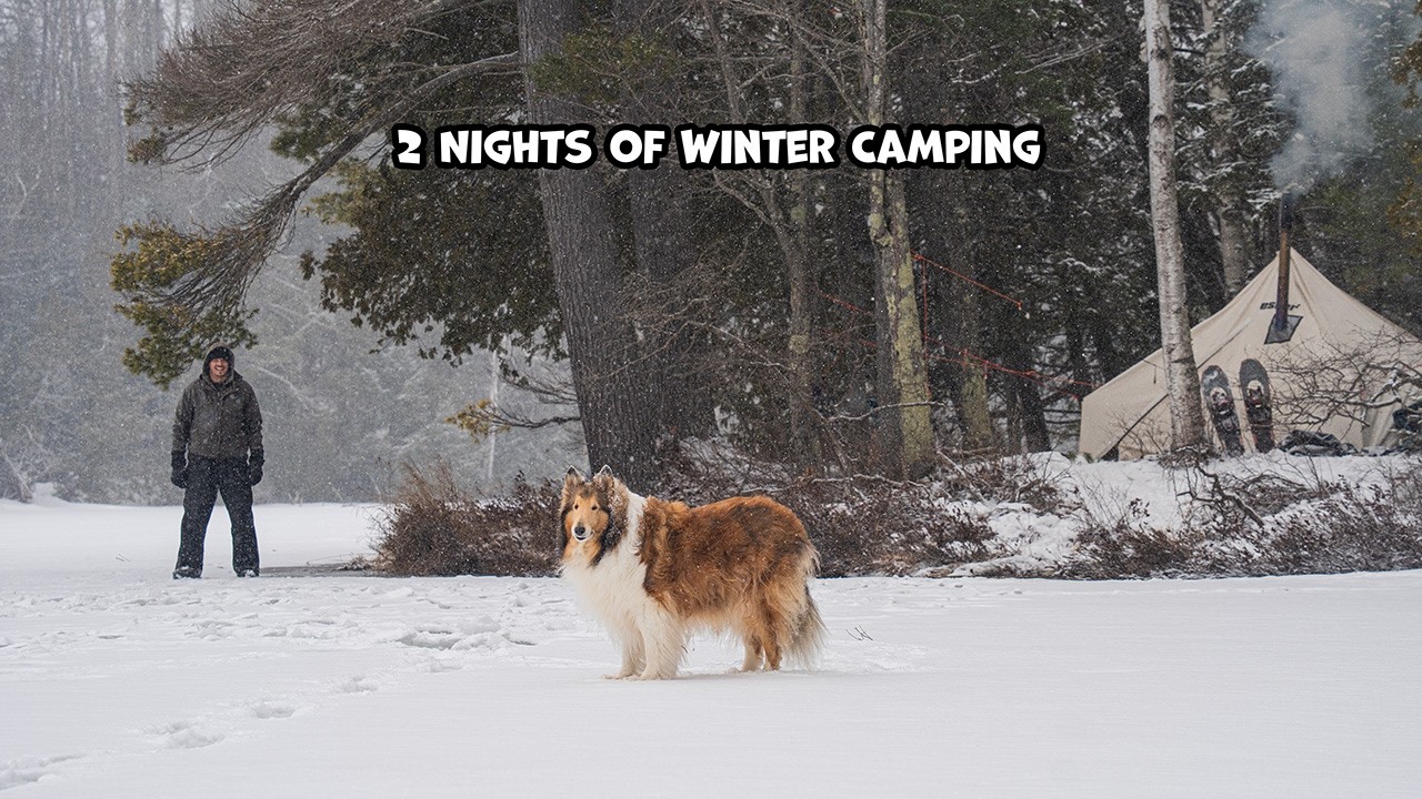 2 Nights Of Winter Camping With My Dog