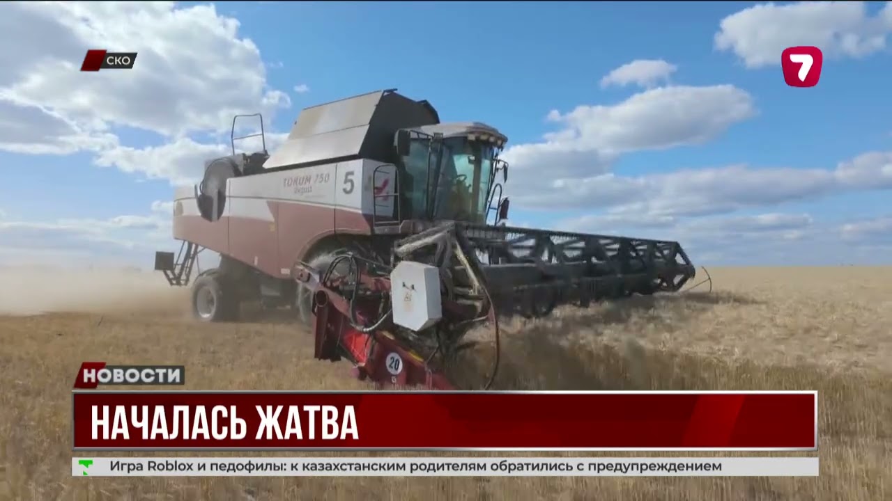 В СКО началась жатва: аграрии применяют No-till &mdash; посев без вспашки