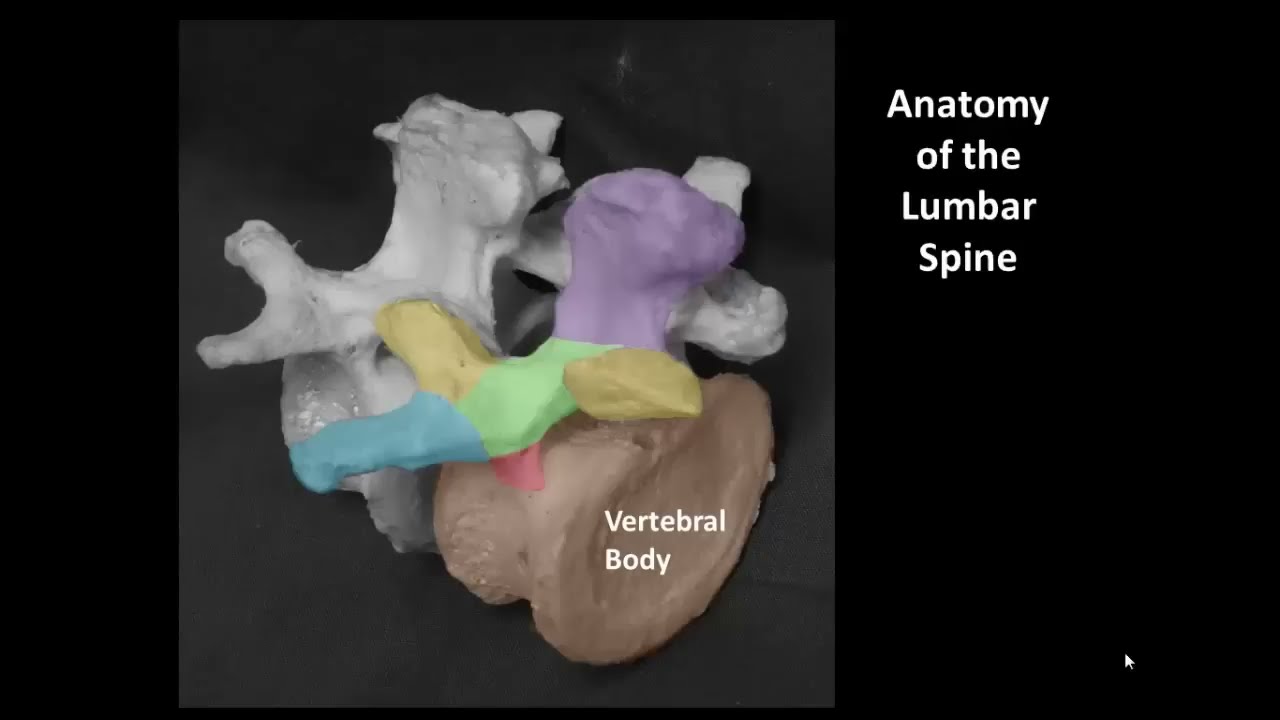 Ультразвуковой срединный доступ к спинальной/эпидуральной анестезии