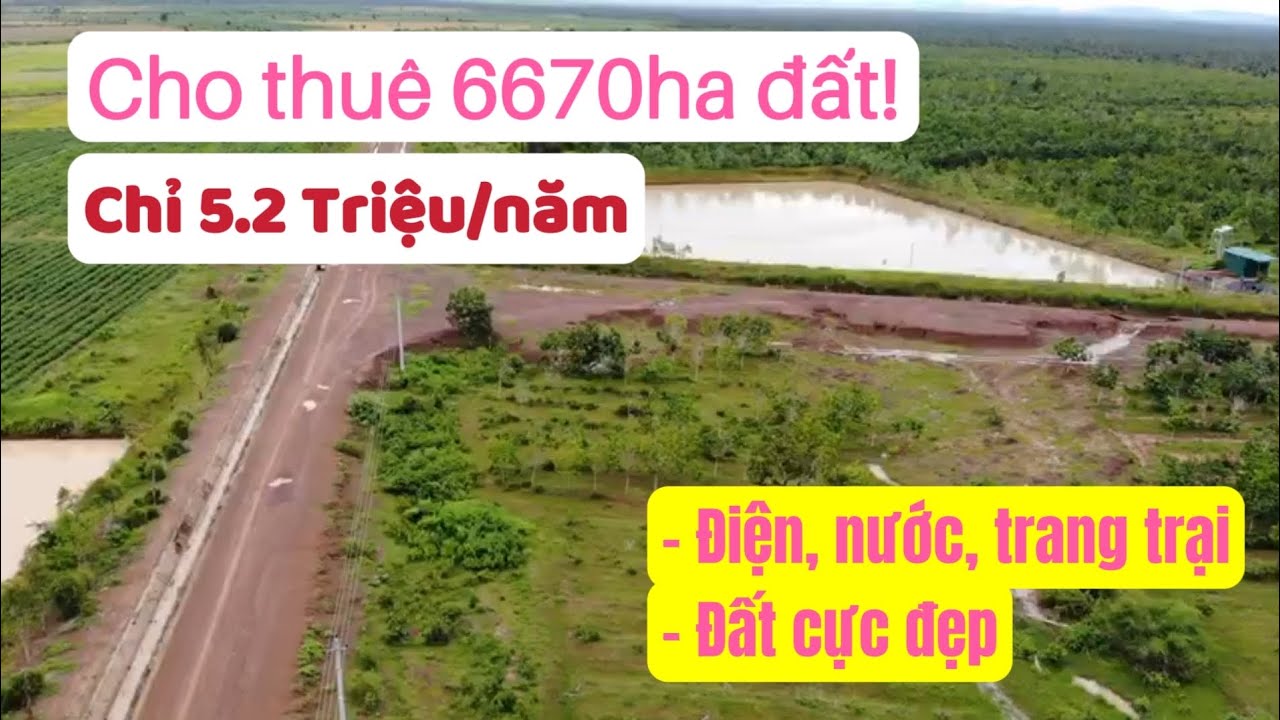 Trang trại cho thu&ecirc;, đất n&ocirc;ng nghiệp cho thu&ecirc; gi&aacute; rẻ, bất động sản