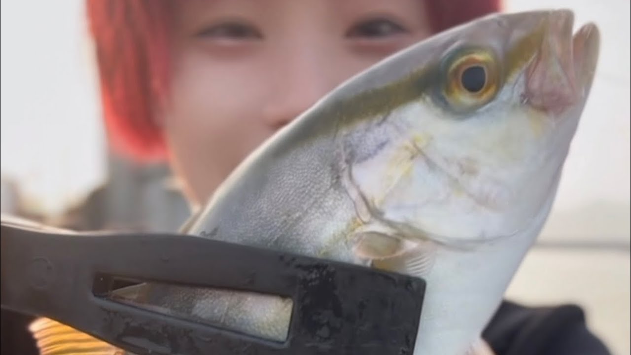 【釣り】やばい！！和歌山の海は別格に釣れるぞ！