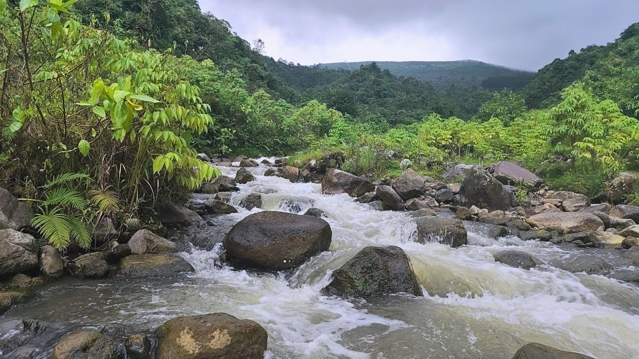 Healing Water Sounds: Gentle Stream Ambience for Relaxation, Focus, and Stress Management