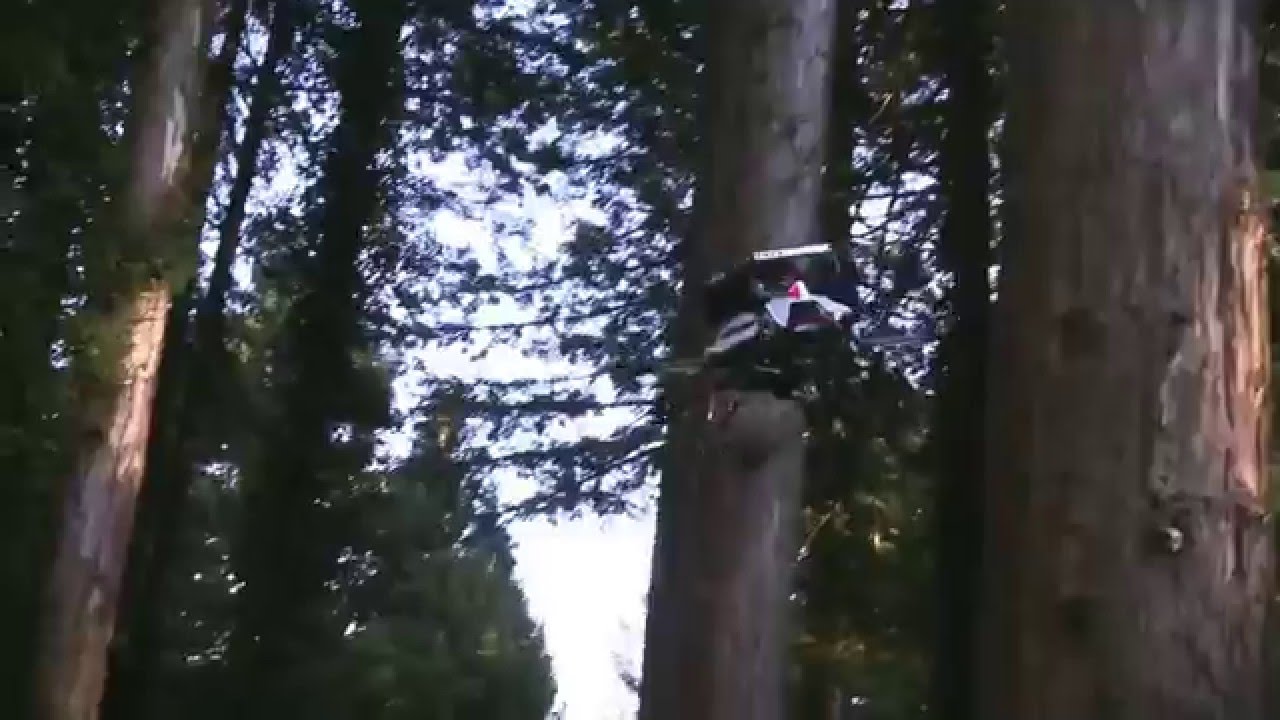 Asctec drone navigating in the forest