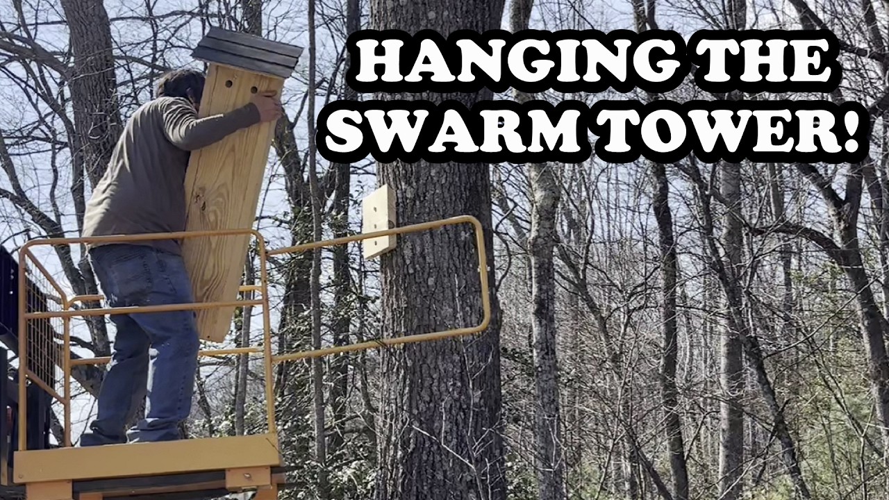Hanging the Swarm Tower