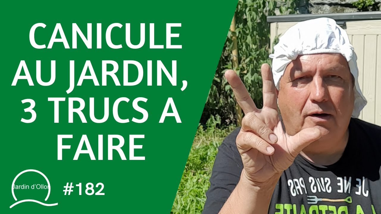#182-Canicule au jardin, 3 trucs à faire