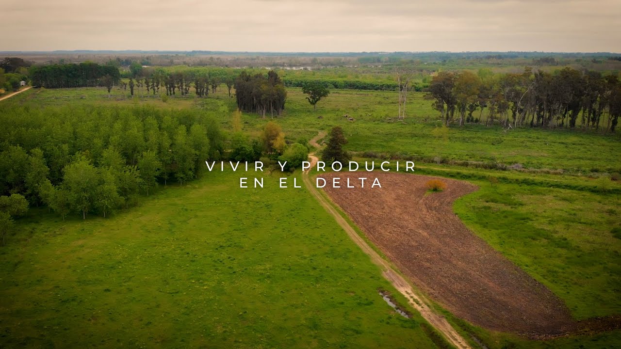 Vivir y Producir en el Delta - Producción Forestal