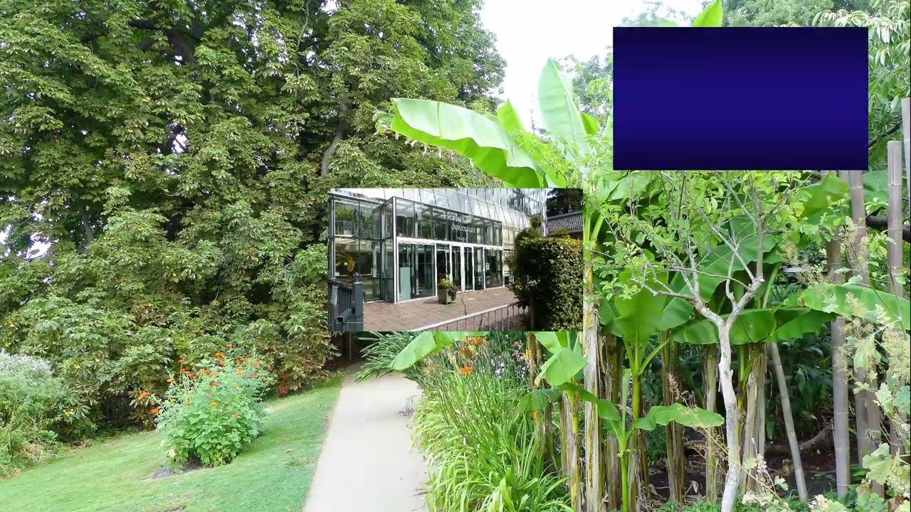 Botanicus en Noordwijkerhout remake 20262 movie