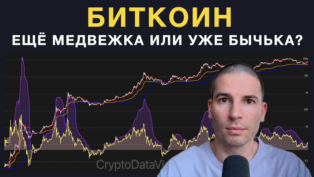 Анализ всех графиков биткоина чтобы понять за какой сценарий больше плюсов