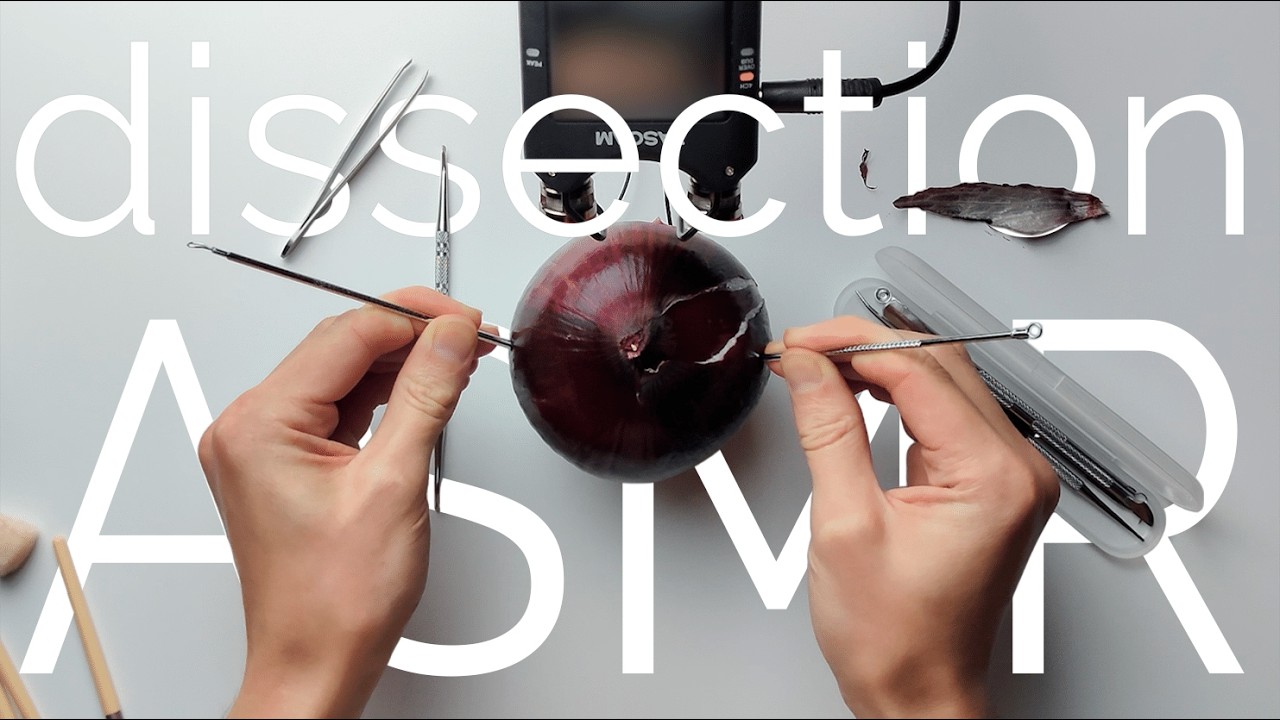 【ASMR】You've Never Seen Vegetable Dissection Like This | Sharp & Crunchy ASMR