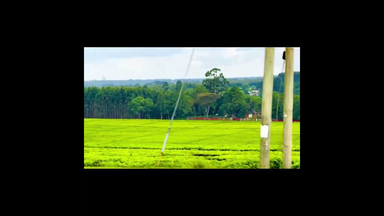 Sina Makosa Instrumental Mix 1st June 2025