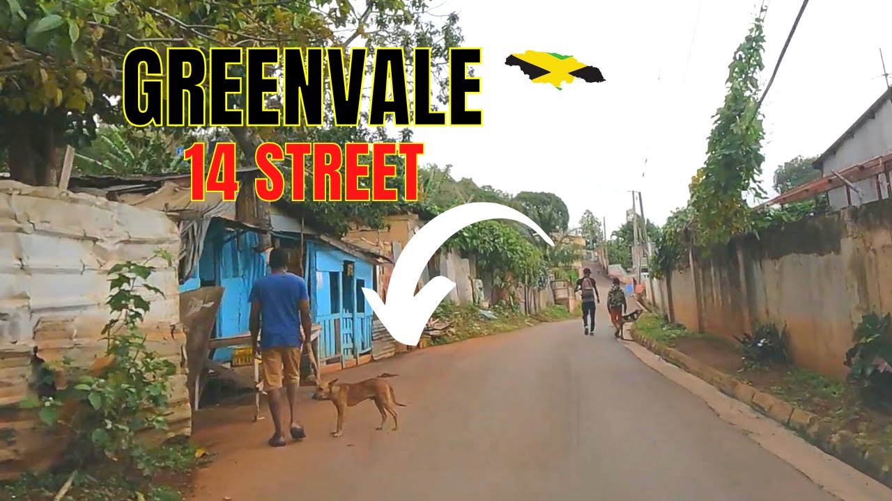 Welcome to Greenvale 14 Street Manchester Jamaica ( MUST WATCH)