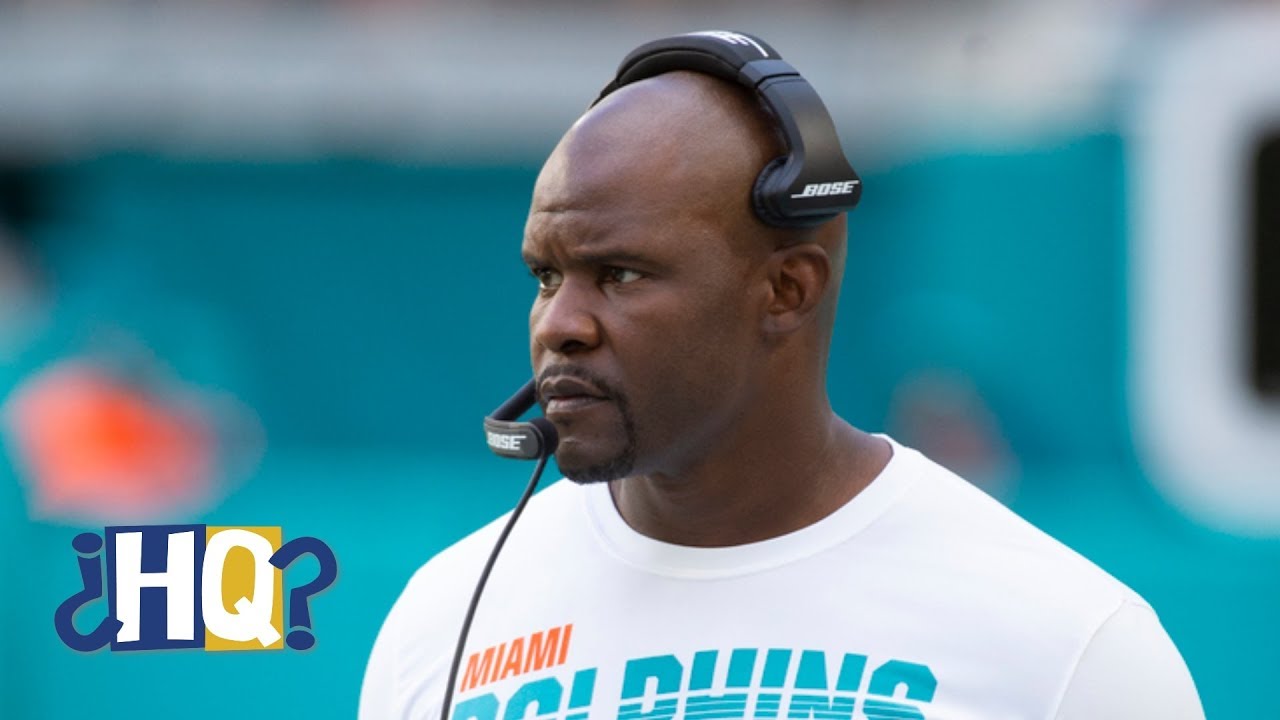 Are recent comments about the Dolphins' culture true? | Highly Questionable