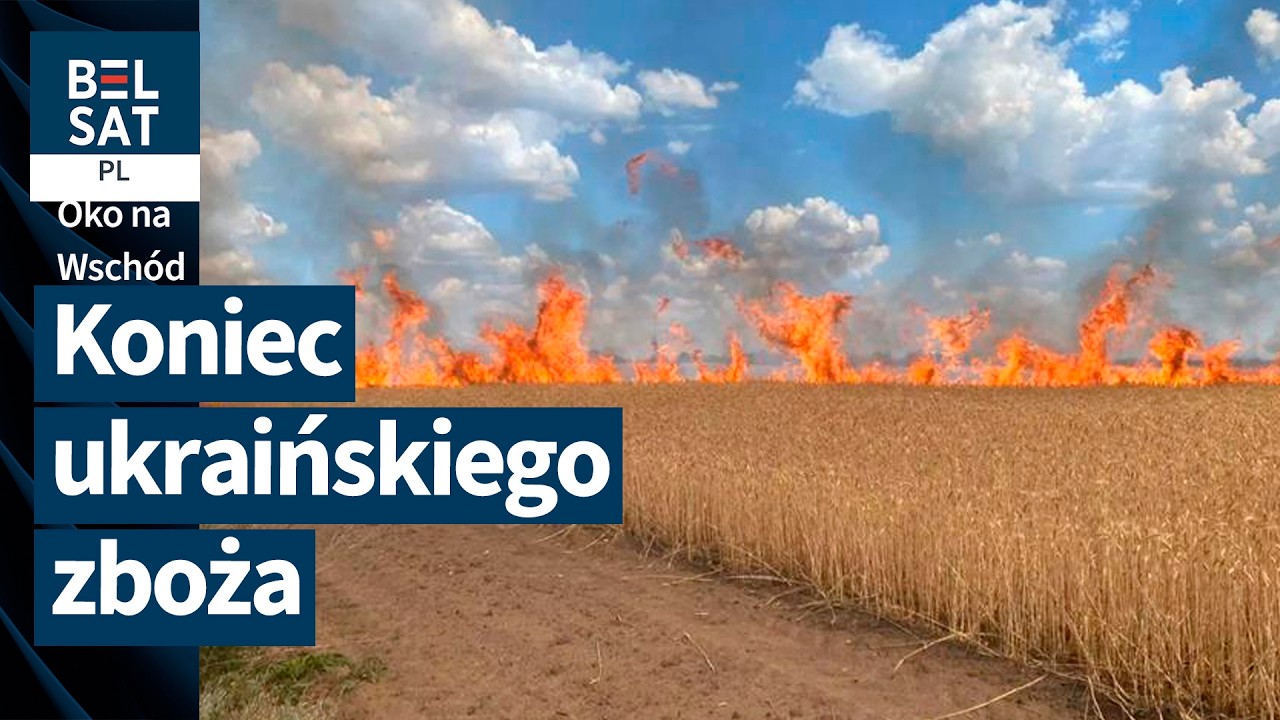 Farmy przy linii frontu: jak Rosja niszczy gospodarkę Ukrainy | OKO NA WSCHÓD