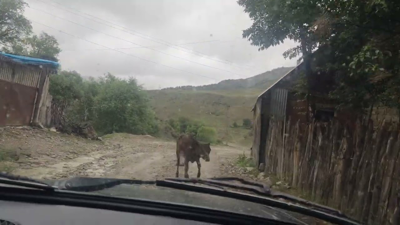Əsil kənd görüntülü Xaltan kəndi. Quba 27.07.2024
